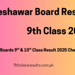 Peshawar Board class 9th Result 2025